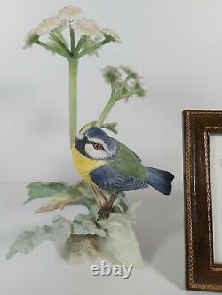 Albany Royal Worcester Limited Edition 9/500 Figurine Blue Tit Appr. 20cm Tall