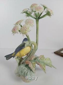 Albany Royal Worcester Limited Edition 9/500 Figurine Blue Tit Appr. 20cm Tall