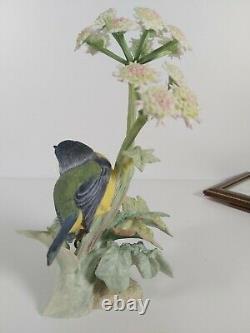 Albany Royal Worcester Limited Edition 9/500 Figurine Blue Tit Appr. 20cm Tall