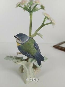 Albany Royal Worcester Limited Edition 9/500 Figurine Blue Tit Appr. 20cm Tall