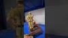 Anime Figures Toy Photography Limited Edition Collector Toys Shorts