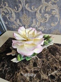 Boehm Porcelain Supreme Peace Rose Sculpture Flower Figurine Limited Edition