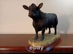 Border Fine Arts'Aberdeen Angus Bull' (Large Crewdson Model) Ltd. Ed. 497/750