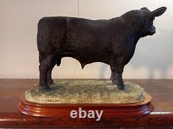 Border Fine Arts'Aberdeen Angus Bull' (Large Crewdson Model) Ltd. Ed. 497/750