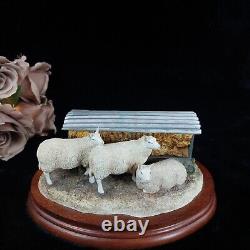 Border Fine Arts Autumn Hay BO419 Limited Edition Sheep Figurine -Ear Damage