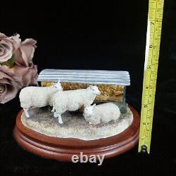 Border Fine Arts Autumn Hay BO419 Limited Edition Sheep Figurine -Ear Damage