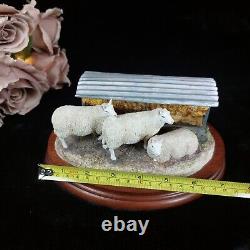 Border Fine Arts Autumn Hay BO419 Limited Edition Sheep Figurine -Ear Damage