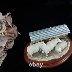 Border Fine Arts Autumn Hay BO419 Limited Edition Sheep Figurine -Ear Damage