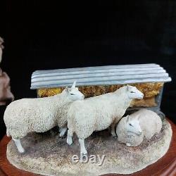 Border Fine Arts Autumn Hay BO419 Limited Edition Sheep Figurine -Ear Damage