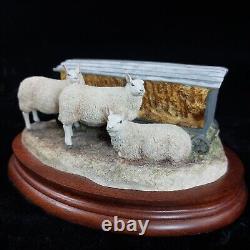 Border Fine Arts Autumn Hay BO419 Limited Edition Sheep Figurine -Ear Damage