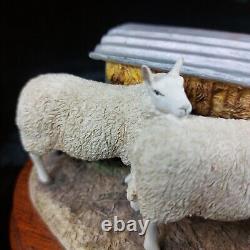 Border Fine Arts Autumn Hay BO419 Limited Edition Sheep Figurine -Ear Damage