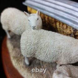 Border Fine Arts Autumn Hay BO419 Limited Edition Sheep Figurine -Ear Damage