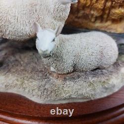 Border Fine Arts Autumn Hay BO419 Limited Edition Sheep Figurine -Ear Damage