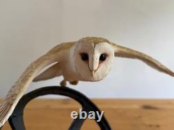 Border Fine Arts Evening Flight Barn Owl Limited Edition Figurine
