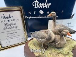 Border Fine Arts Greylag Geese (239/950) Limited Edition Figurine Boxed