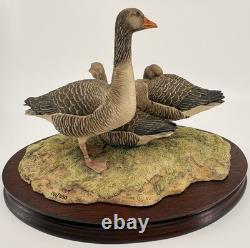 Border Fine Arts Greylag Geese (239/950) Limited Edition Figurine Boxed