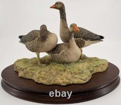 Border Fine Arts Greylag Geese (239/950) Limited Edition Figurine Boxed