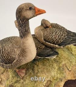 Border Fine Arts Greylag Geese (239/950) Limited Edition Figurine Boxed