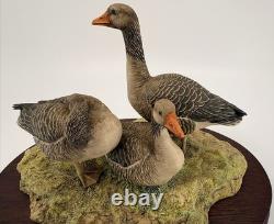 Border Fine Arts Greylag Geese (239/950) Limited Edition Figurine Boxed