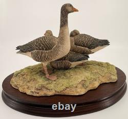 Border Fine Arts Greylag Geese (239/950) Limited Edition Figurine Boxed