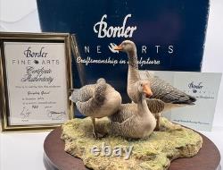 Border Fine Arts Greylag Geese (239/950) Limited Edition Figurine Boxed