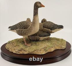 Border Fine Arts Greylag Geese (239/950) Limited Edition Figurine Boxed