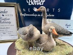 Border Fine Arts Greylag Geese (239/950) Limited Edition Figurine Boxed