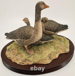 Border Fine Arts Greylag Geese (239/950) Limited Edition Figurine Boxed