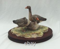 Border Fine Arts Greylag Geese Limited Edition (171/950) Figurine Boxed Border Fine Arts Greylag Geese Limited Edition (171/950) Figurine Boxed
