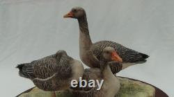 Border Fine Arts Greylag Geese Limited Edition (171/950) Figurine Boxed Border Fine Arts Greylag Geese Limited Edition (171/950) Figurine Boxed