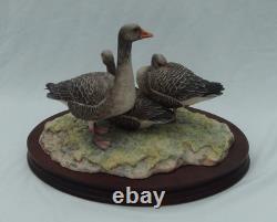 Border Fine Arts Greylag Geese Limited Edition (171/950) Figurine Boxed