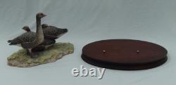 Border Fine Arts Greylag Geese Limited Edition (171/950) Figurine Boxed