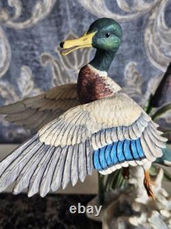 Border Fine Arts'Rising Mallard' By Frank Falco Figurine Limited Edition