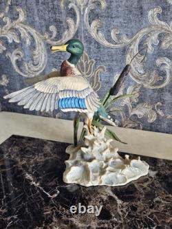 Border Fine Arts'Rising Mallard' By Frank Falco Figurine Limited Edition