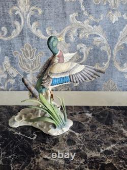 Border Fine Arts'Rising Mallard' By Frank Falco Figurine Limited Edition