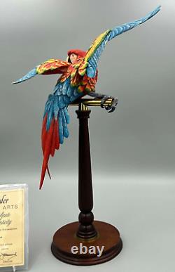 Border Fine Arts Scotland Macaw Limited Edition Large Bird Figure