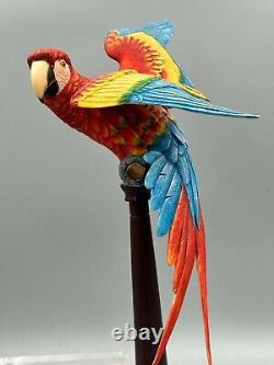 Border Fine Arts Scotland Macaw Limited Edition Large Bird Figure