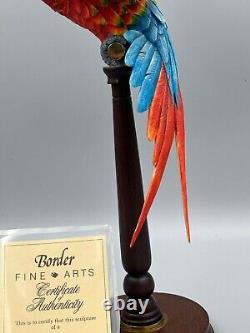 Border Fine Arts Scotland Macaw Limited Edition Large Bird Figure