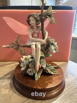 Border Fine Arts Wild Cherry Fairy Limited Edition Figurine Ornament
