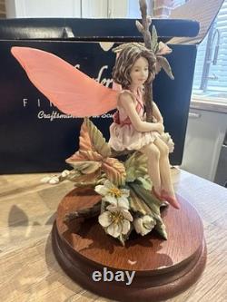 Border Fine Arts Wild Cherry Fairy Limited Edition Figurine Ornament
