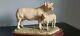 Border Fine Arts Charolais Cow And Calf, Limited Edition