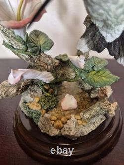 Country Artists Silent Wings Hummingbird Ltd Ed 214 Michael Abberley Signed COA