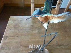 David Fryer Kingfisher In Flight Porcelain On Bronze Limited Edition 694/750