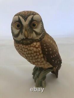 Goebel Boreal Owl Limited Edition Gunther Granget Matt 1984 Reference 38 831 19