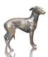 Lurcher Bronze Figurine (limited Edition) Richard Cooper