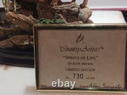 Native American Spring Of Life Limited Edition Figurine