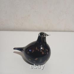 Oiva Toikka Golden Tern Nuutajarvi Glass Bird Figurine UK Limited Edition Rare