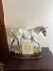 Royal Doulton Desert Orchid Da134 Horse Figurine Ltd Ed #1866/7500+certificate