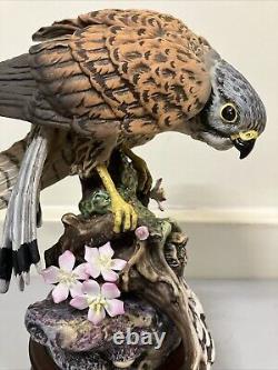 Royal Doulton Large Kestrel DA 144 Figurine Ornament Limited Edition 29cm Tall