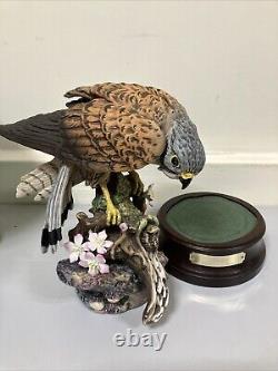 Royal Doulton Large Kestrel DA 144 Figurine Ornament Limited Edition 29cm Tall